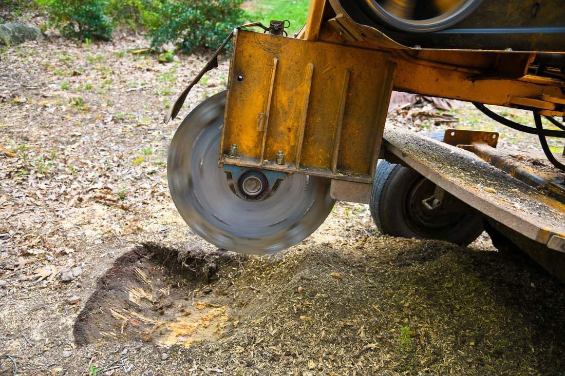 How Long Does Stump Grinding Take and What the Visit Includes
